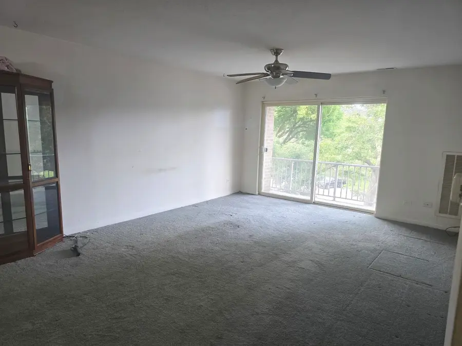 945 E Kenilworth Avenue #325, Palatine, IL 60074 - #3