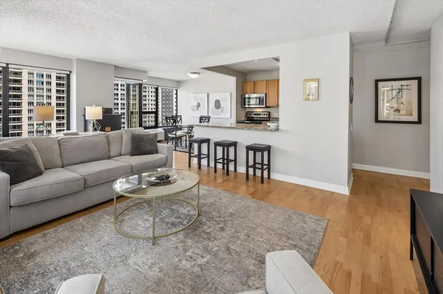 30 E Huron Street #1307, Chicago, IL 60611 - #3