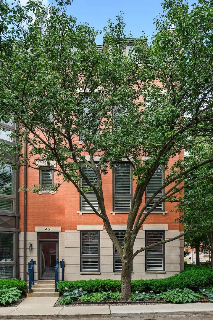 461 N Clinton Street, Chicago, IL 60654 - #2