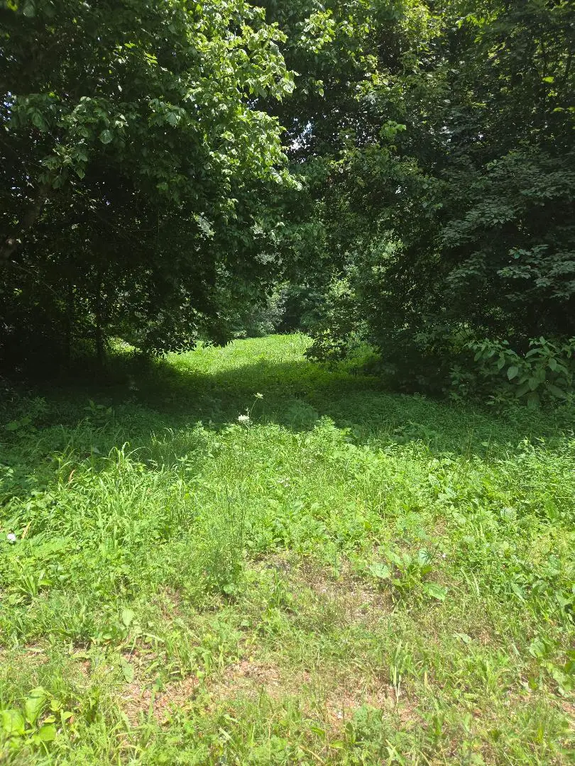 206 Old Villa Ridge Road, Mounds, IL 62964 - #2