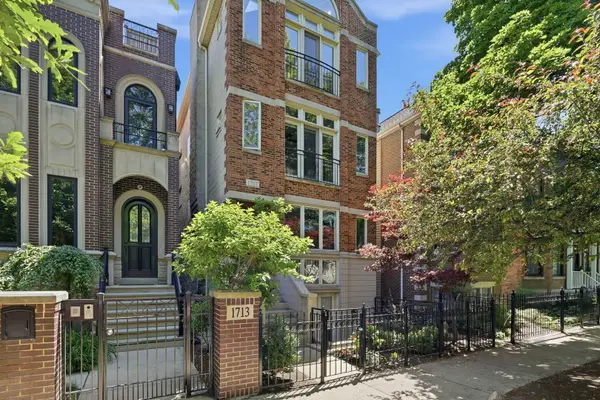 1717 W Nelson Avenue #3, Chicago, IL 60657