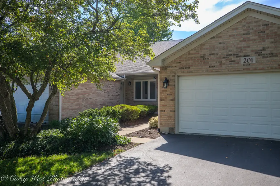 201 Conley Drive, Elburn, IL 60119 - #2