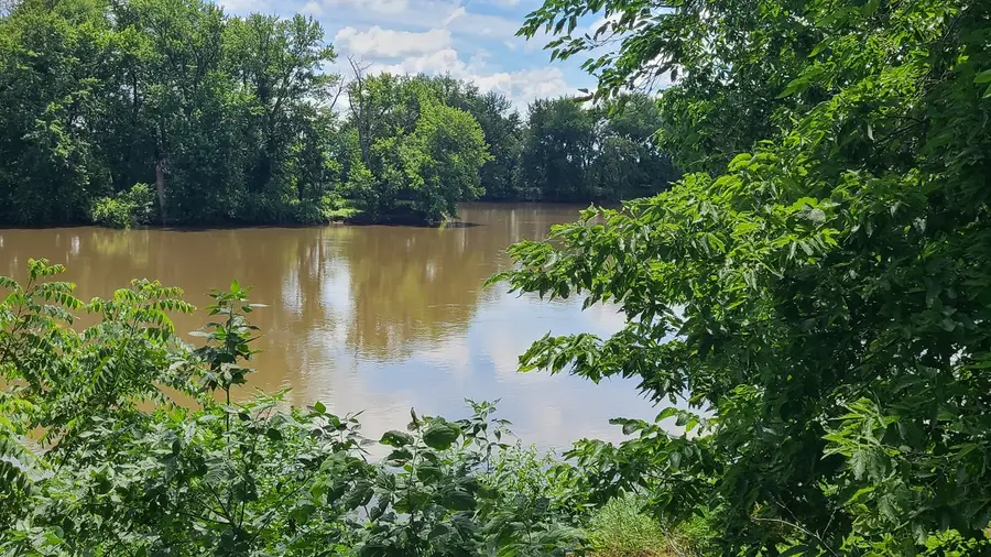 9830 Yorktown Road, Lyndon, IL 61261 - #3