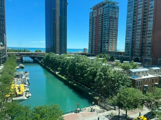 480 N Mcclurg Court #911, Chicago, IL 60611 - #3