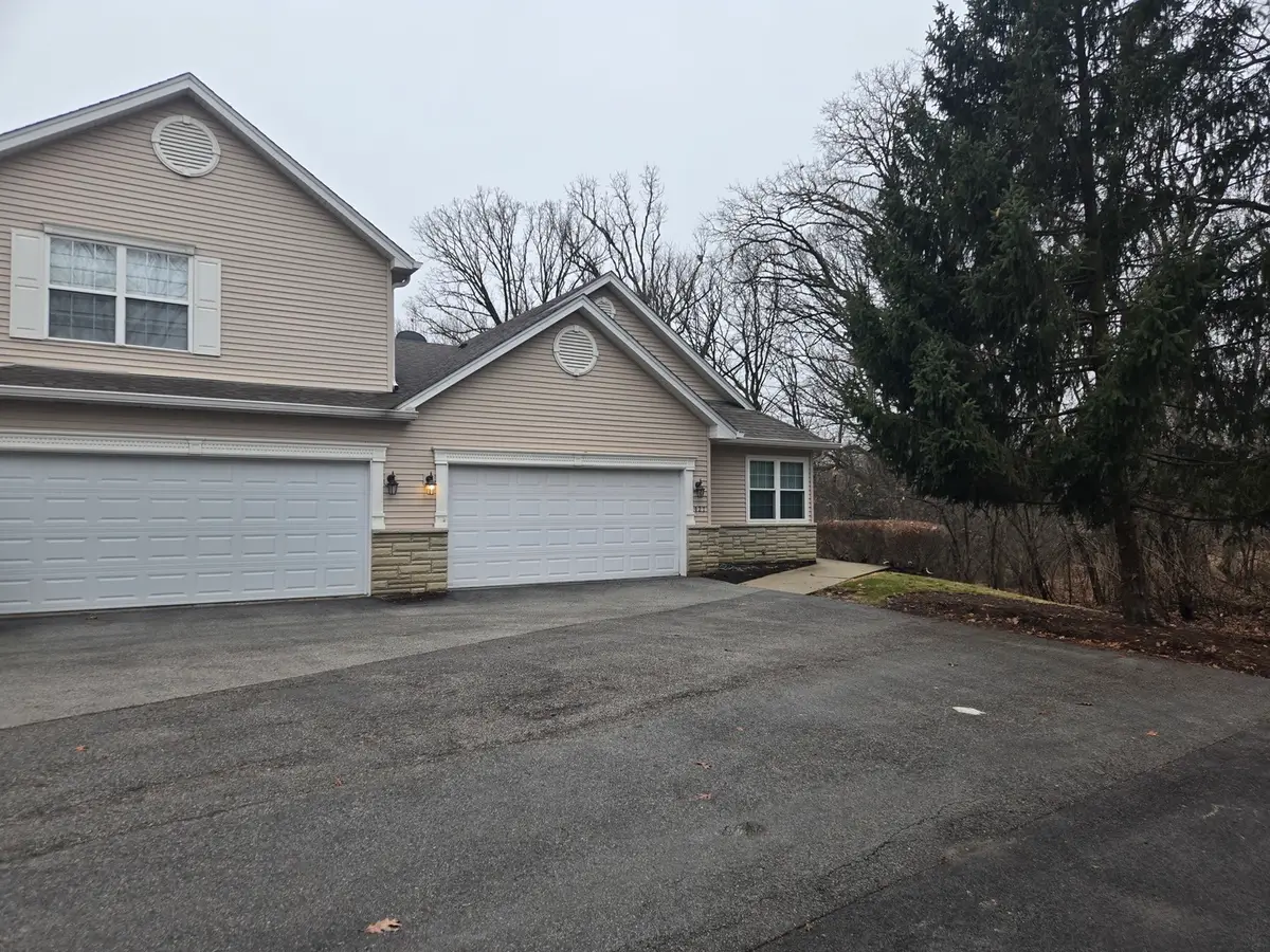 927 Treeline Court, Lockport, IL 60441 - #1