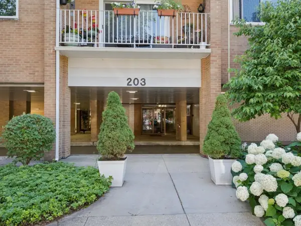 203 N Kenilworth Avenue #2P, Oak Park, IL 60302