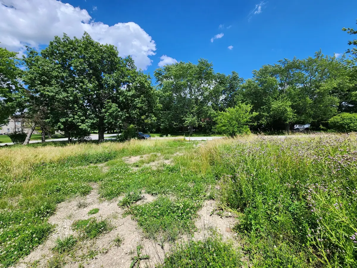 26114 S Victoria Lane, Crete, IL 60417 - #1
