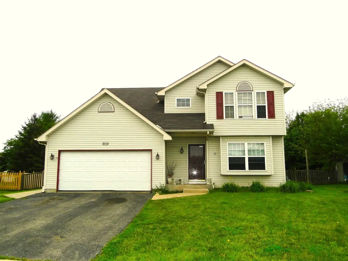 909 Thorn Creek Drive, Joliet, IL 60436 - #1