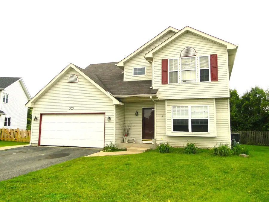 909 Thorn Creek Drive, Joliet, IL 60436 - #2