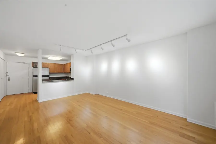 222 E Pearson Street #707, Chicago, IL 60611 - #3