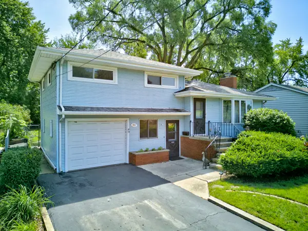911 David Street, Antioch, IL 60002
