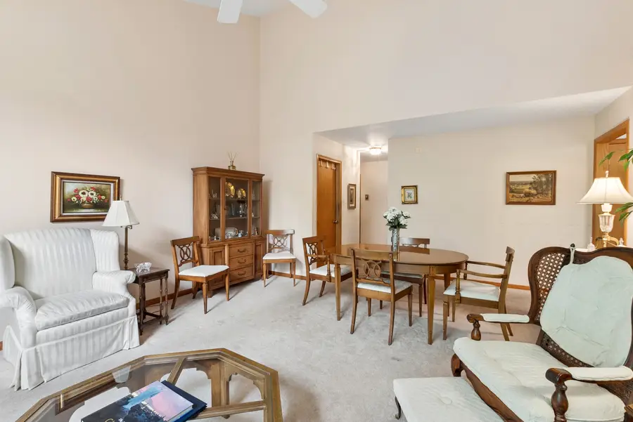 11135 Shenandoah Drive, Orland Park, IL 60467 - #3