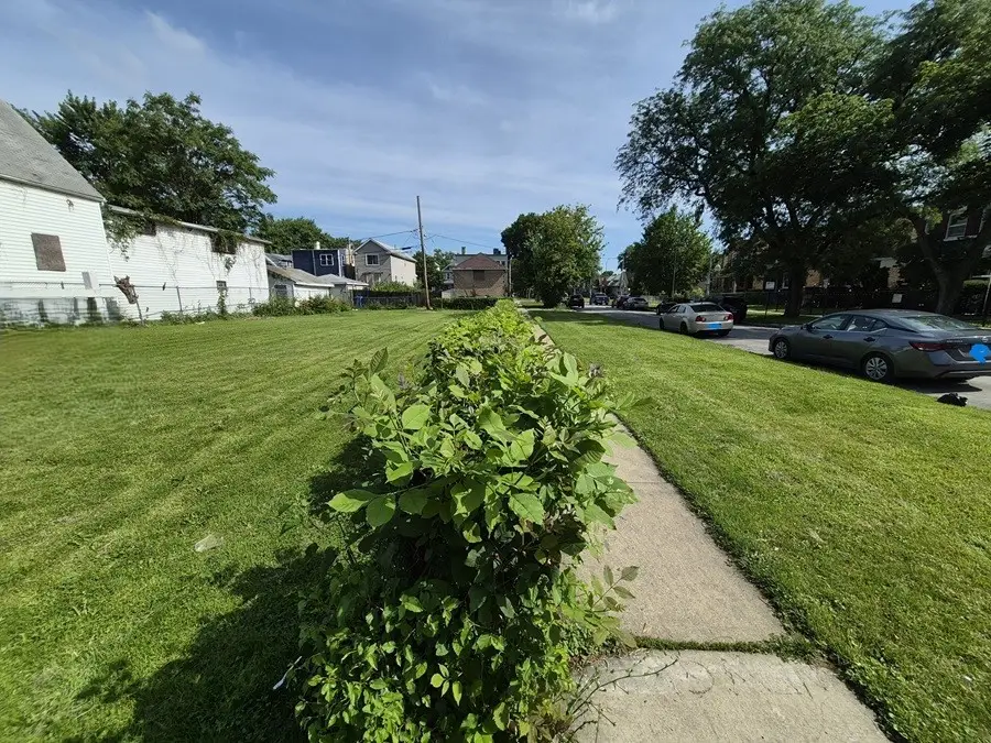 5404 W Walton Street, Chicago, IL 60651 - #2