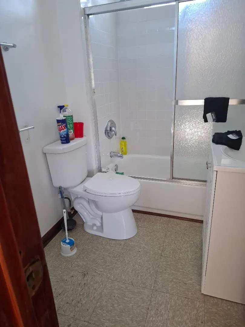 1314 W 51st Street, Chicago, IL 60609 - #3