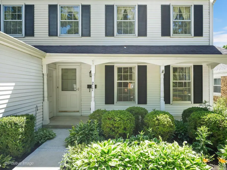 217 S Rex Boulevard, Elmhurst, IL 60126 - #3