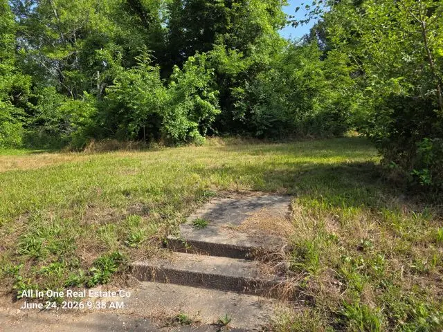329 E Washington Street, Carrier Mills, IL 62917 - #1