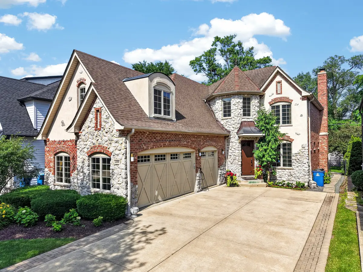 239 N Highland Avenue, Elmhurst, IL 60126 - #1