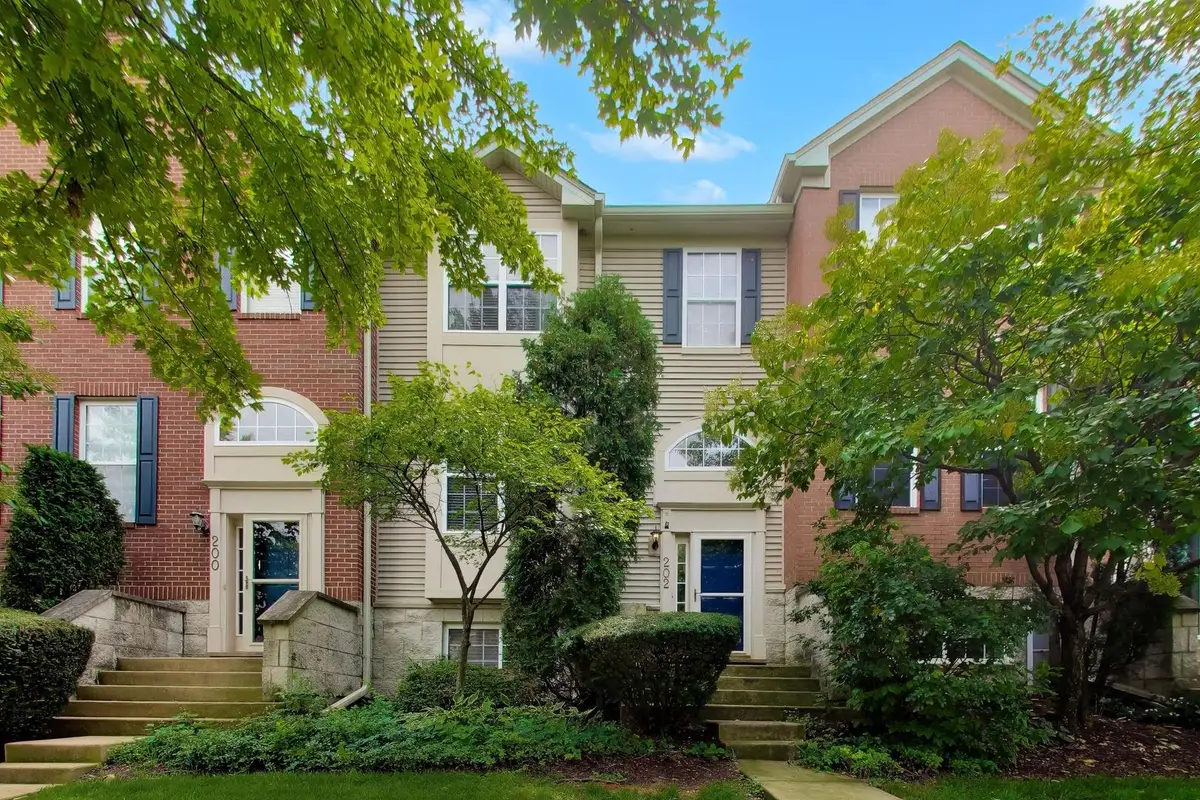 202 Willow Boulevard, Willow Springs, IL 60480 - #1
