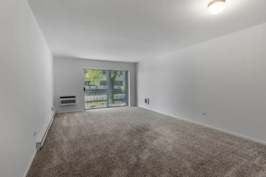 1321 W Birchwood Avenue W #206, Chicago, IL 60626 - #2
