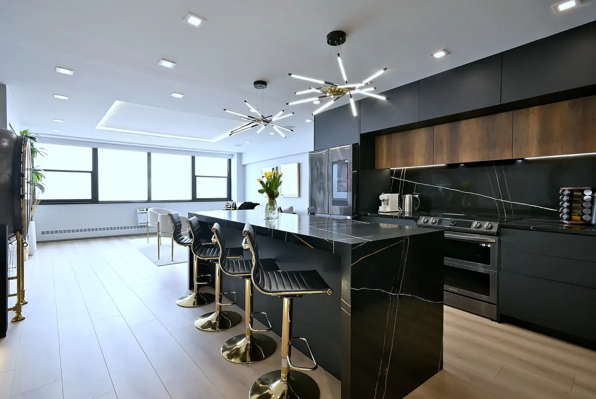1150 N Lake Shore Drive #22A, Chicago, IL 60611 - #1