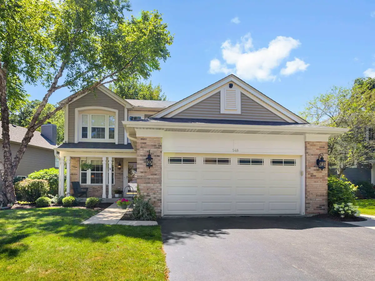 548 Arbor Lane, South Elgin, IL 60177 - #1
