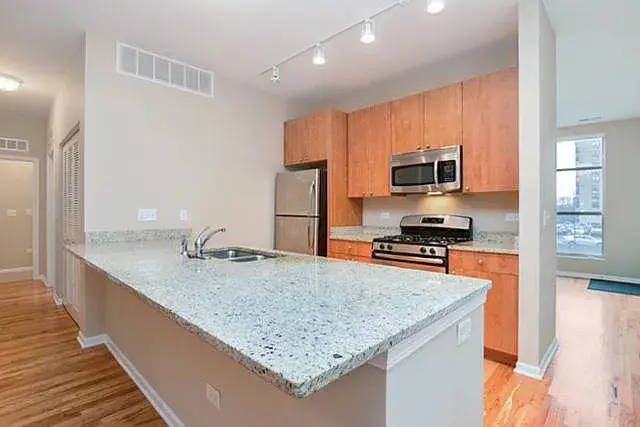 318 E 25th Street #2E, Chicago, IL 60616 - #2
