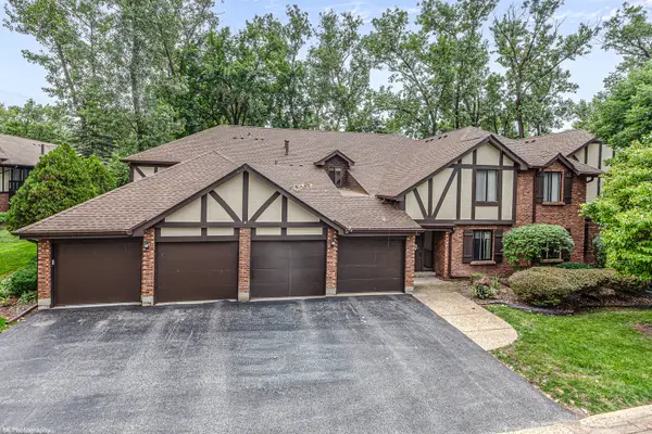 8127 Chestnut Drive #58C, Palos Hills, IL 60465