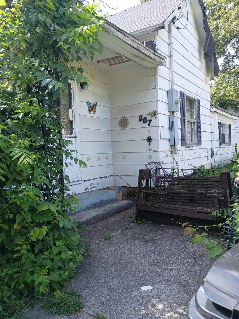 207 E Walnut Street, Carrier Mills, IL 62917 - #1