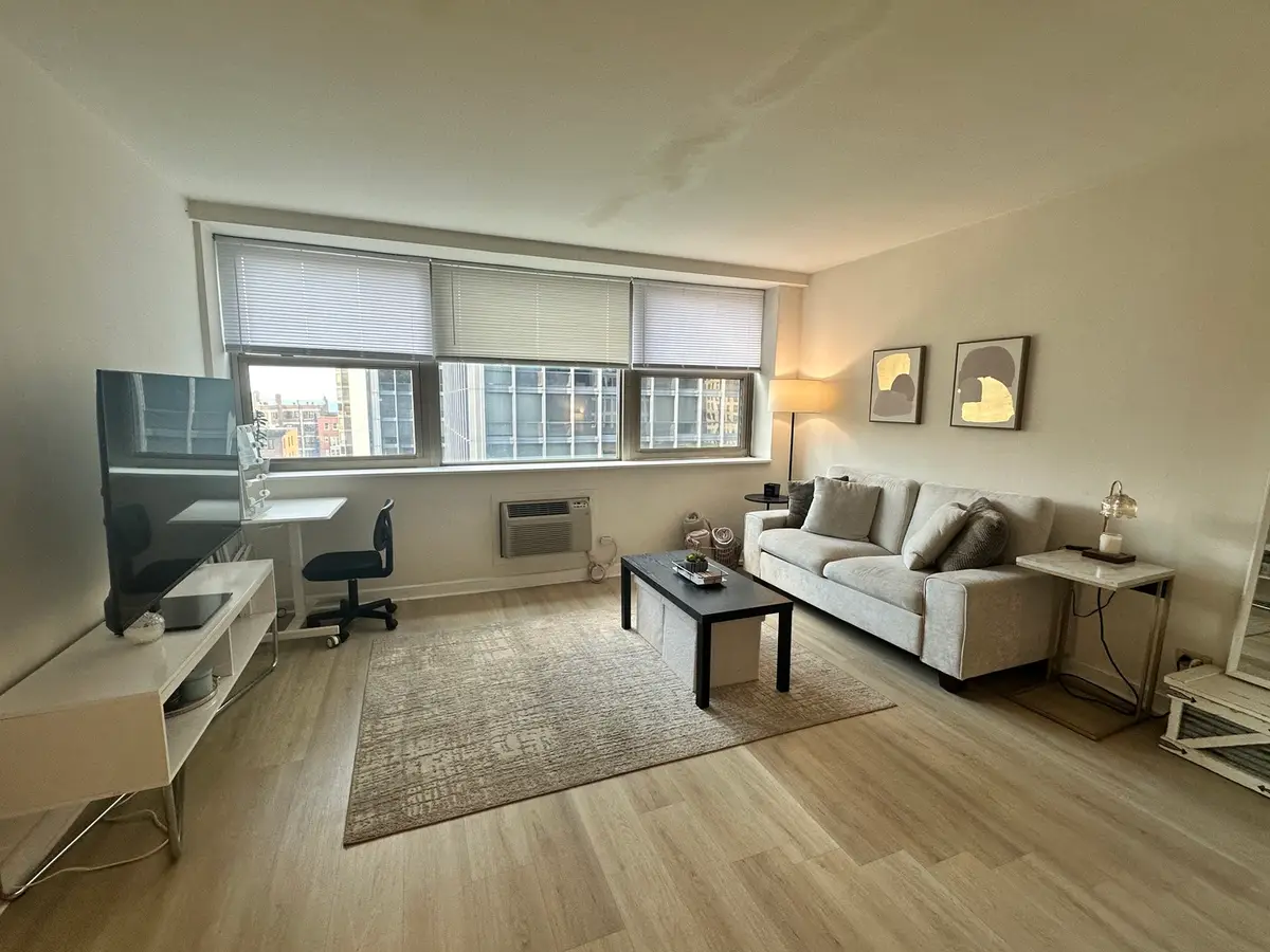 253 E Delaware Place #15E, Chicago, IL 60611 - #1