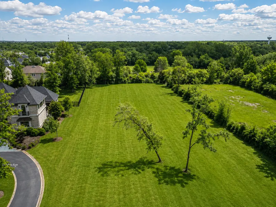 5s541 S Radcliff Road, Naperville, IL 60563 - #3