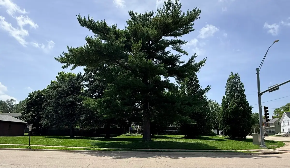 0 E Hitt Street, Mount Morris, IL 61054 - #1