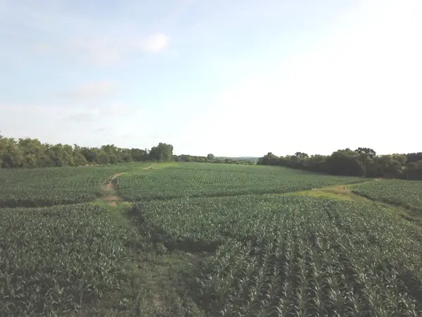 0000 Streit Road, Harvard, IL 60033