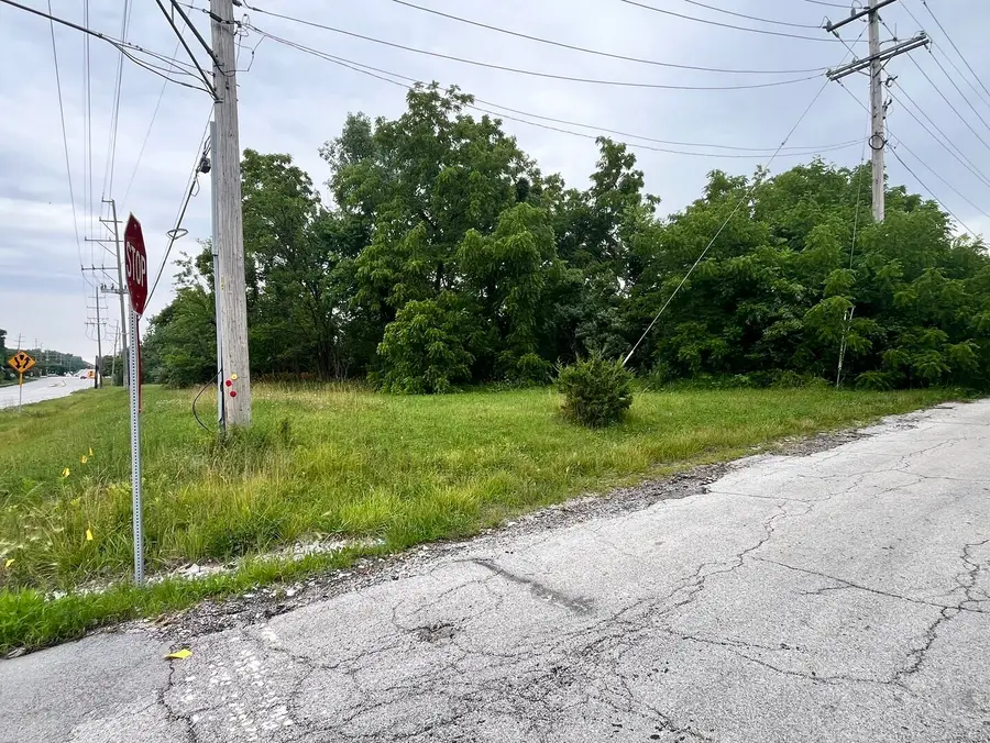 Vacant Western Avenue, University Park, IL 60484 - #2