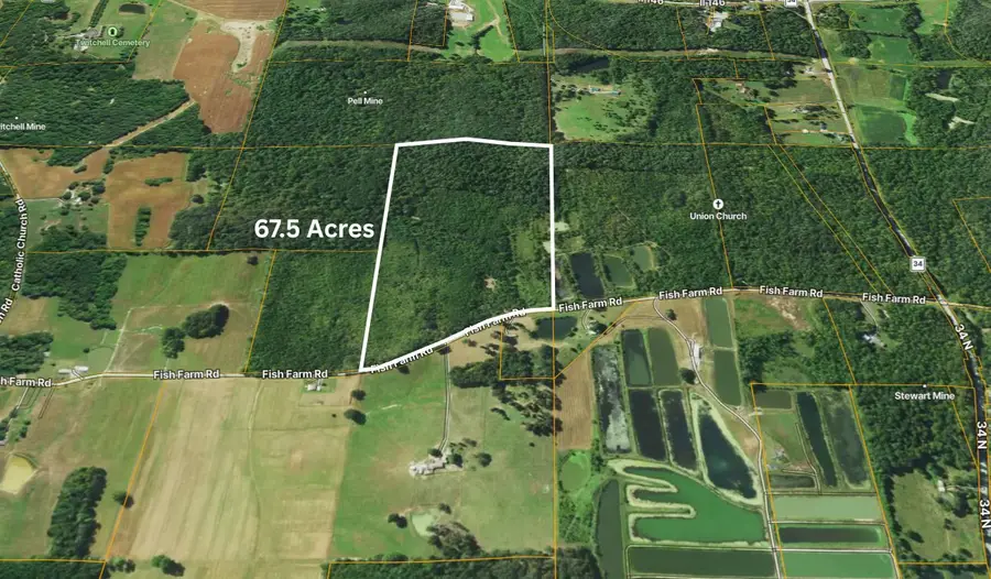 70 Fish Farm Road, Golconda, IL 62938 - #2