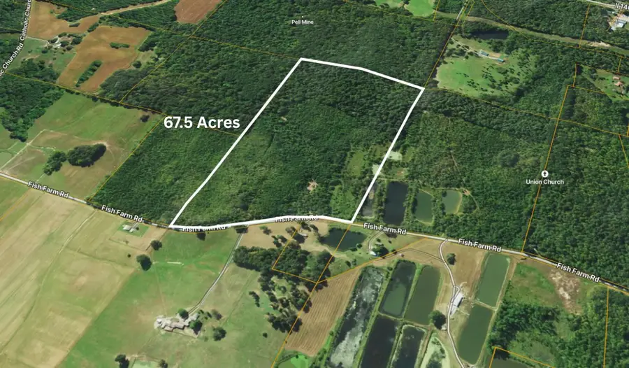 70 Fish Farm Road, Golconda, IL 62938 - #3