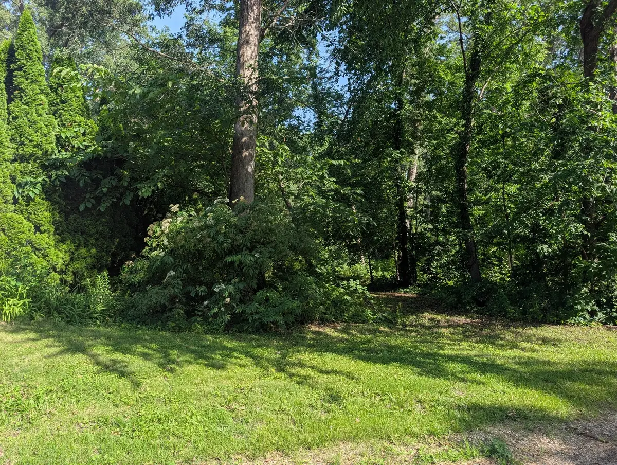 2145 Hawthorne Drive, Davis, IL 61019 - #1