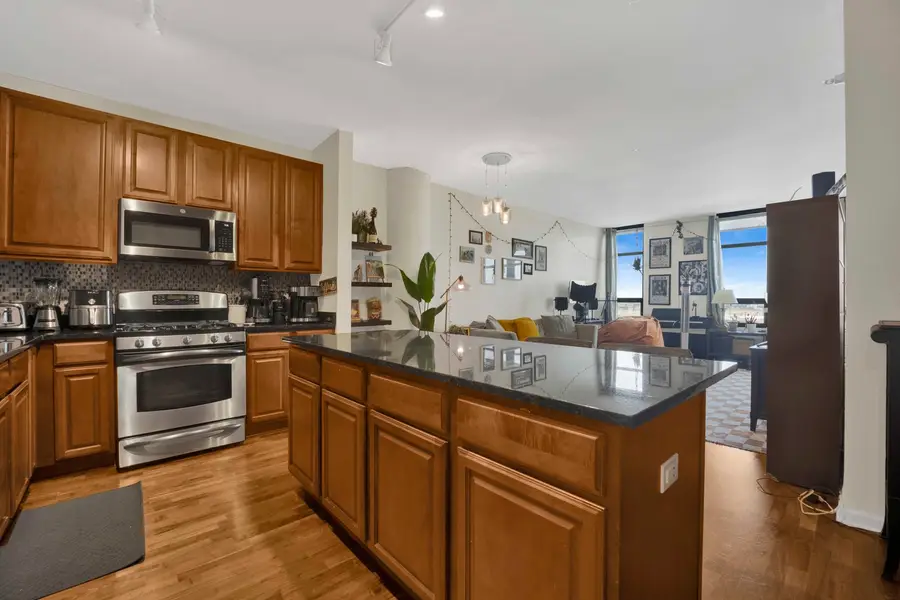 1255 S State Street #1008, Chicago, IL 60605 - #3