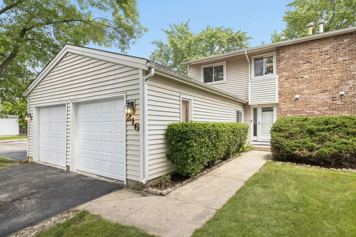 216 Douglass Way, Bolingbrook, IL 60440 - #1