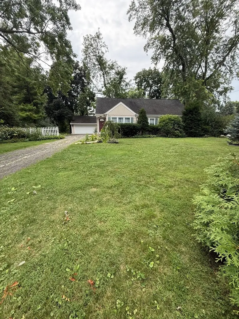 47 W Algonquin Road, Des Plaines, IL 60016 - #3