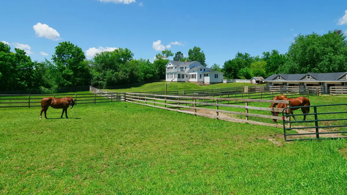 708 S Rose Farm Road, Woodstock, IL 60098 - #1