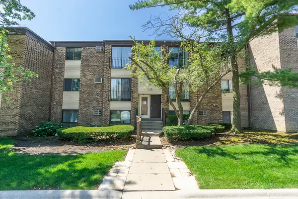178 Dunteman Drive #302, Glendale Heights, IL 60139