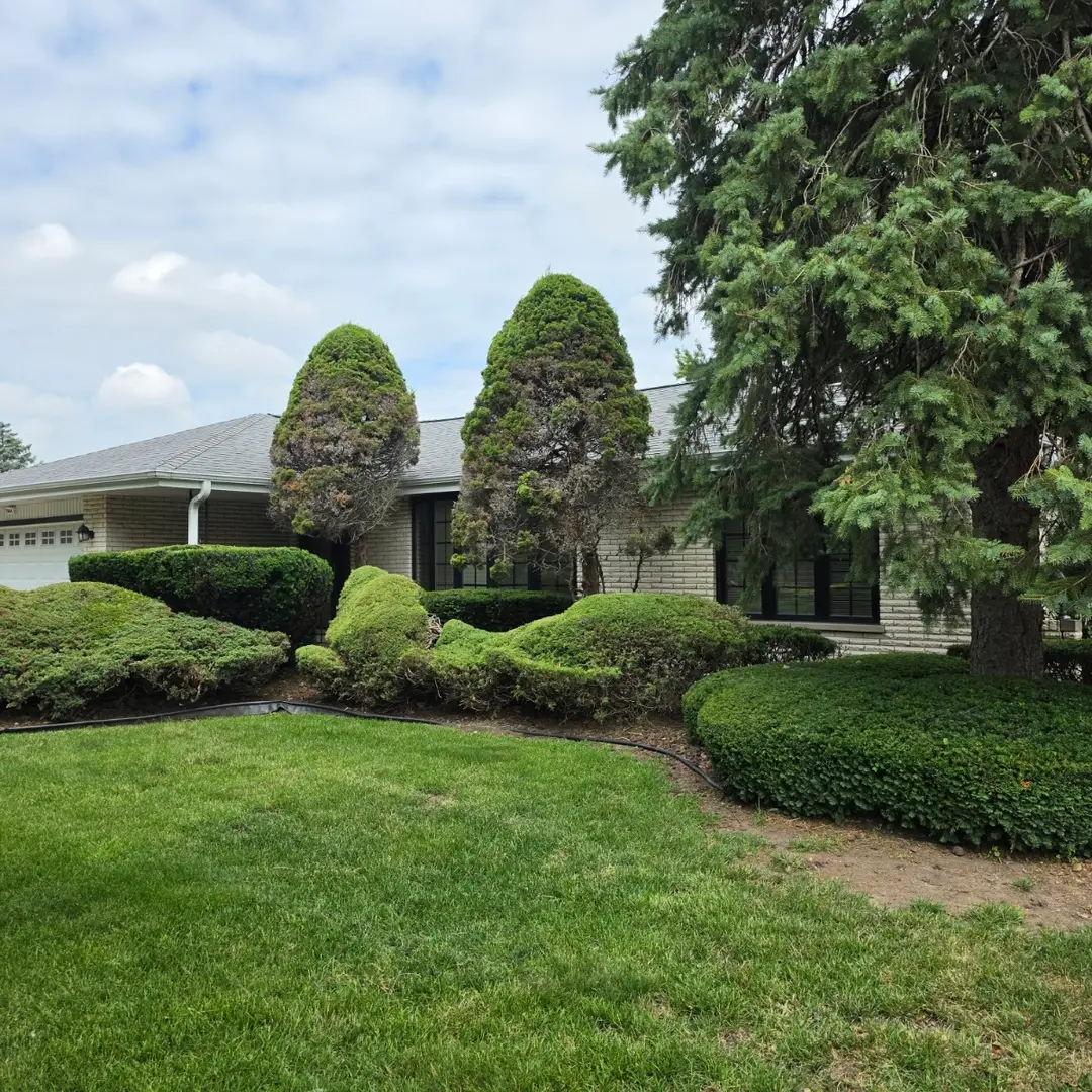 7644 Cashew Drive, Orland Park, IL 60462 - #1