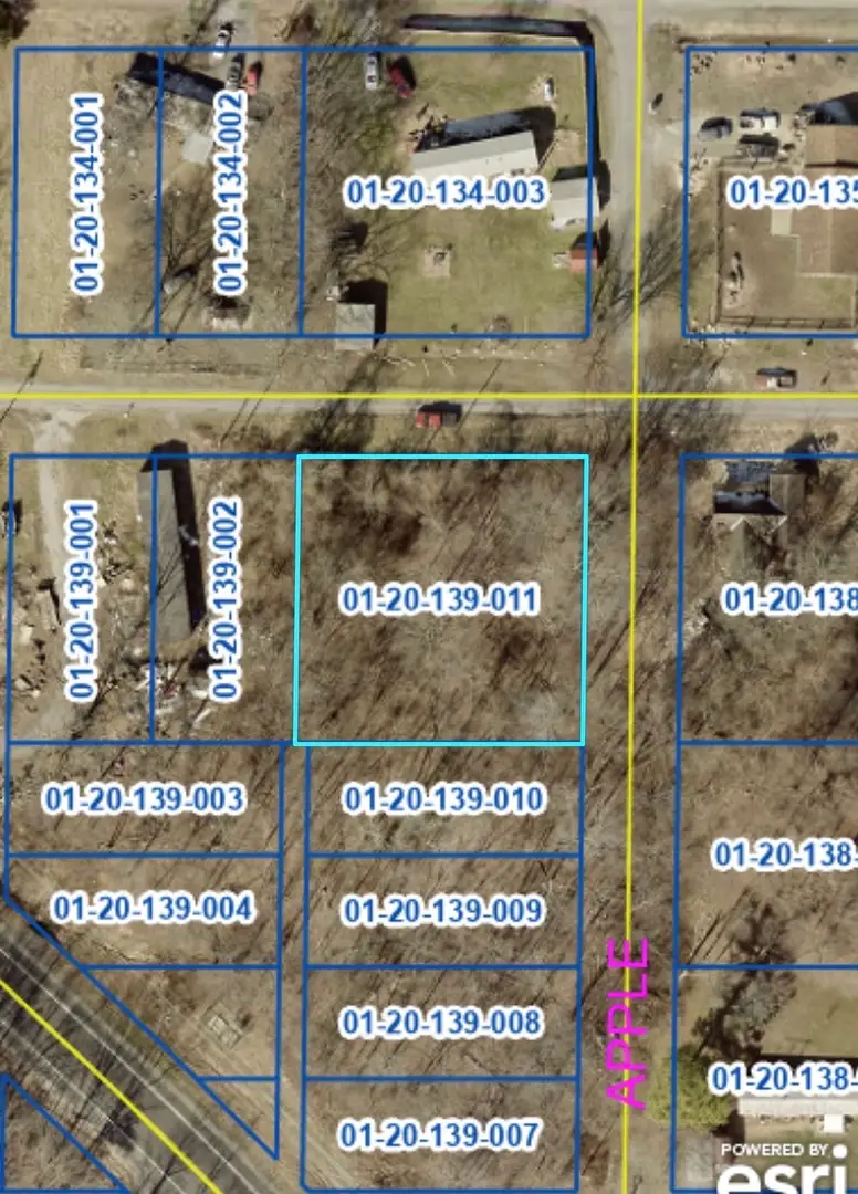 3 Main Street, Carterville, IL 62918 - #2