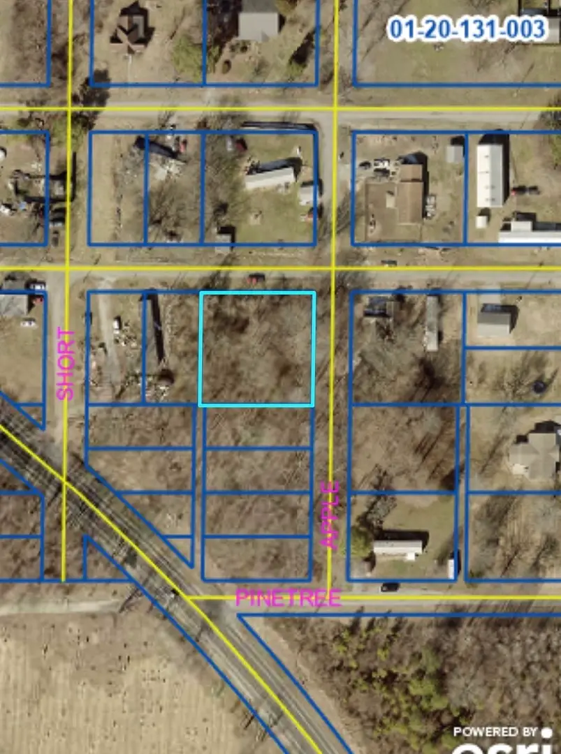 3 Main Street, Carterville, IL 62918 - #3