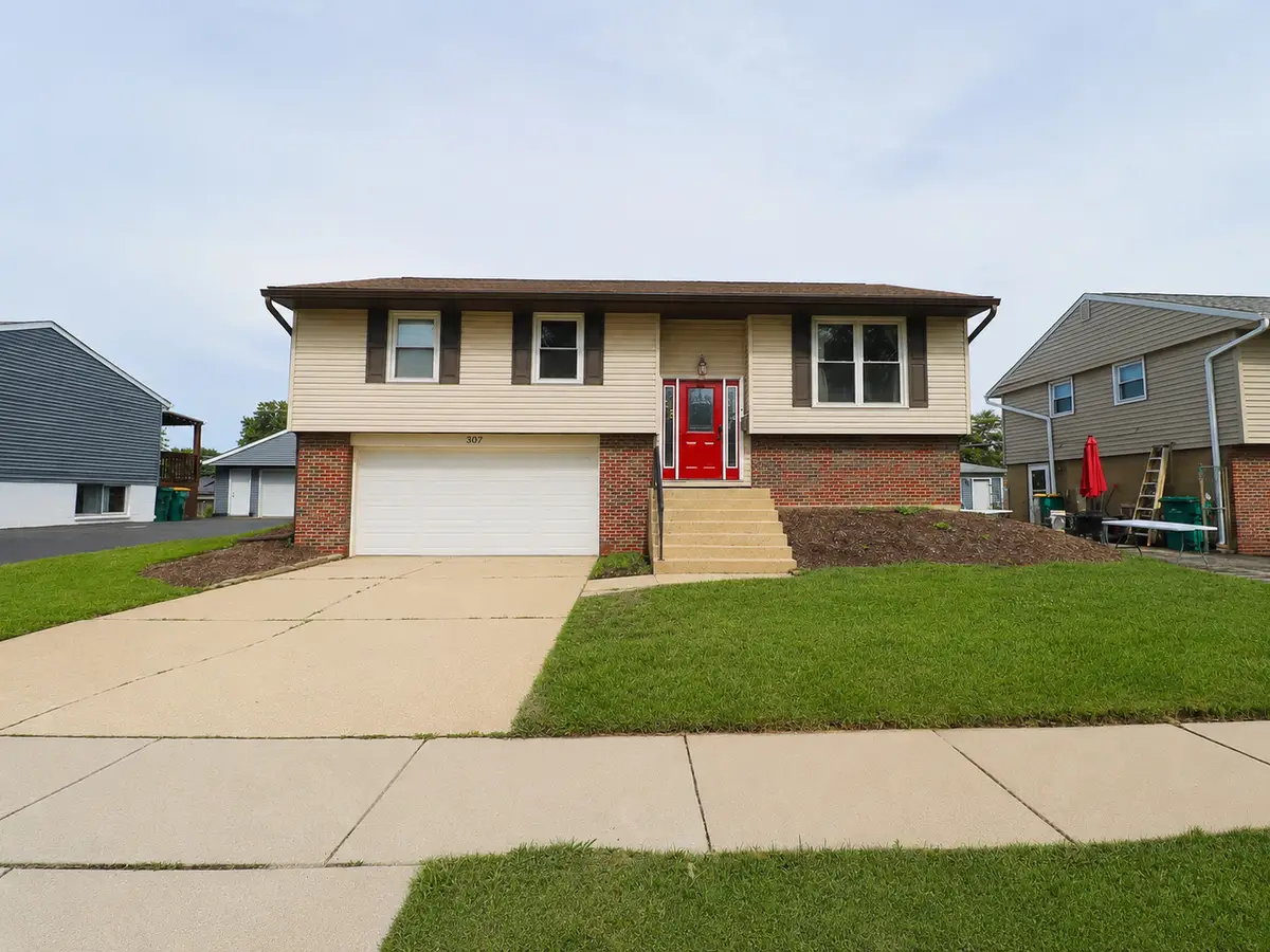 307 Hickory Avenue, Romeoville, IL 60446 - #1