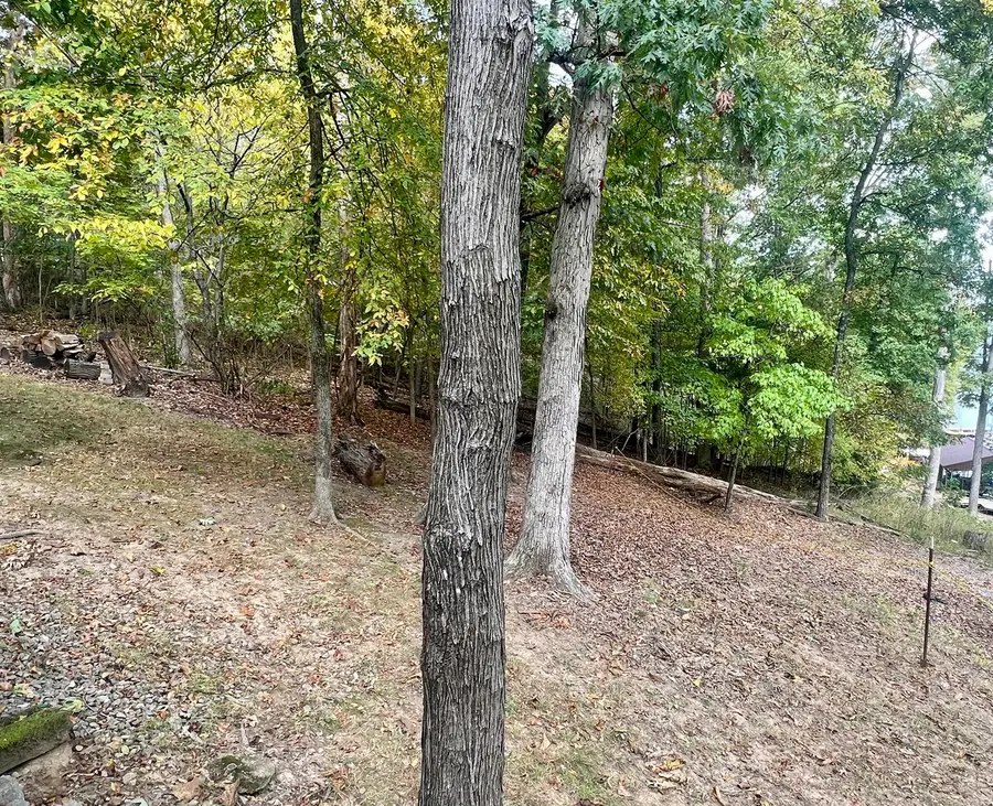 0 Cardinal Ln & Mark Dr, Goreville, IL 62939 - #2