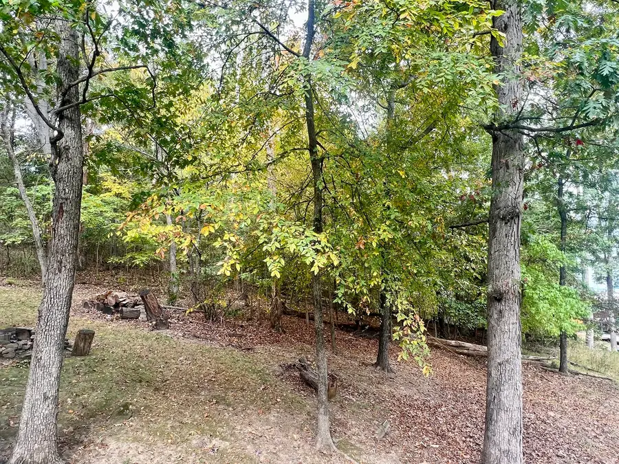 0 Cardinal Ln & Mark Dr, Goreville, IL 62939 - #3