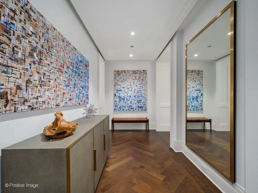159 E Walton Place #7E, Chicago, IL 60611 - #3