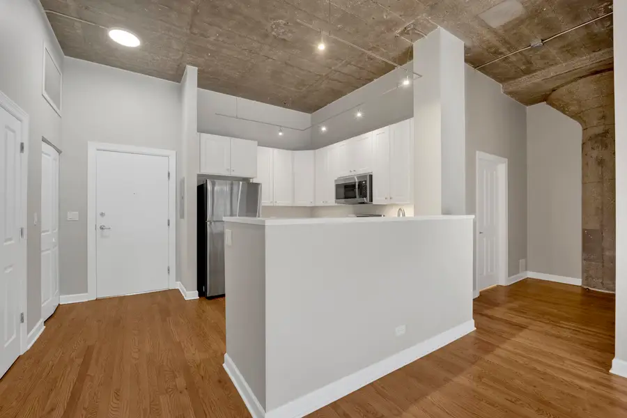 1071 W 15th Street #109, Chicago, IL 60608 - #3