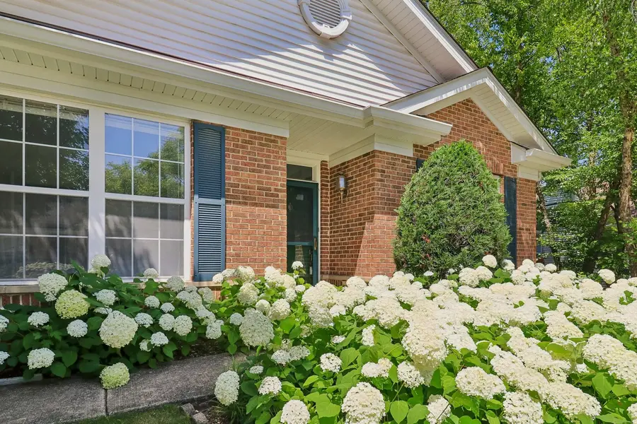 13322 S Bayberry Lane, Plainfield, IL 60544 - #3